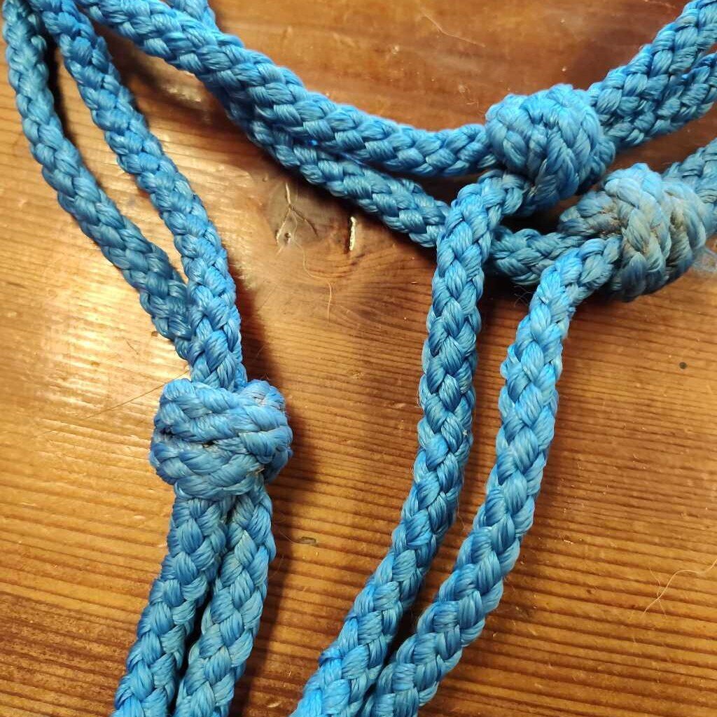 soft rope halter and lead