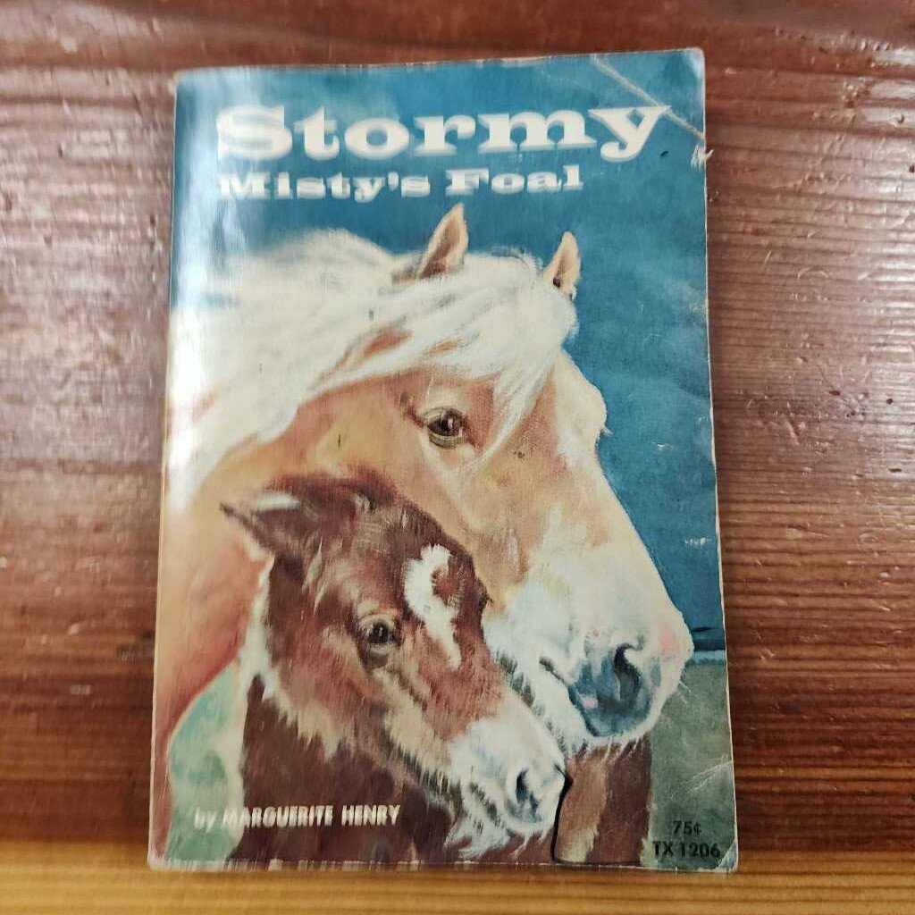 Stormy, Mistys Foal