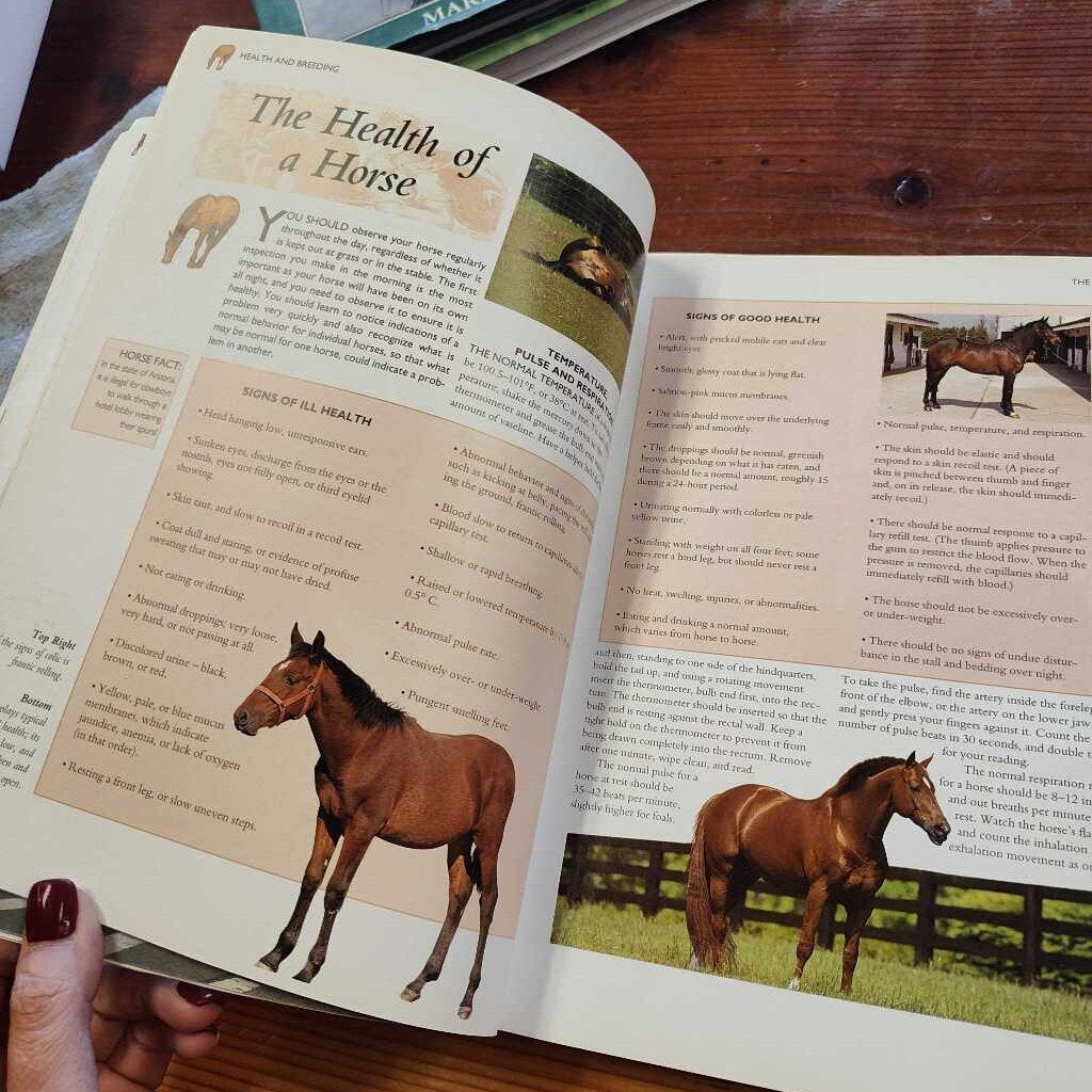The Encyclopedia of horses and ponies