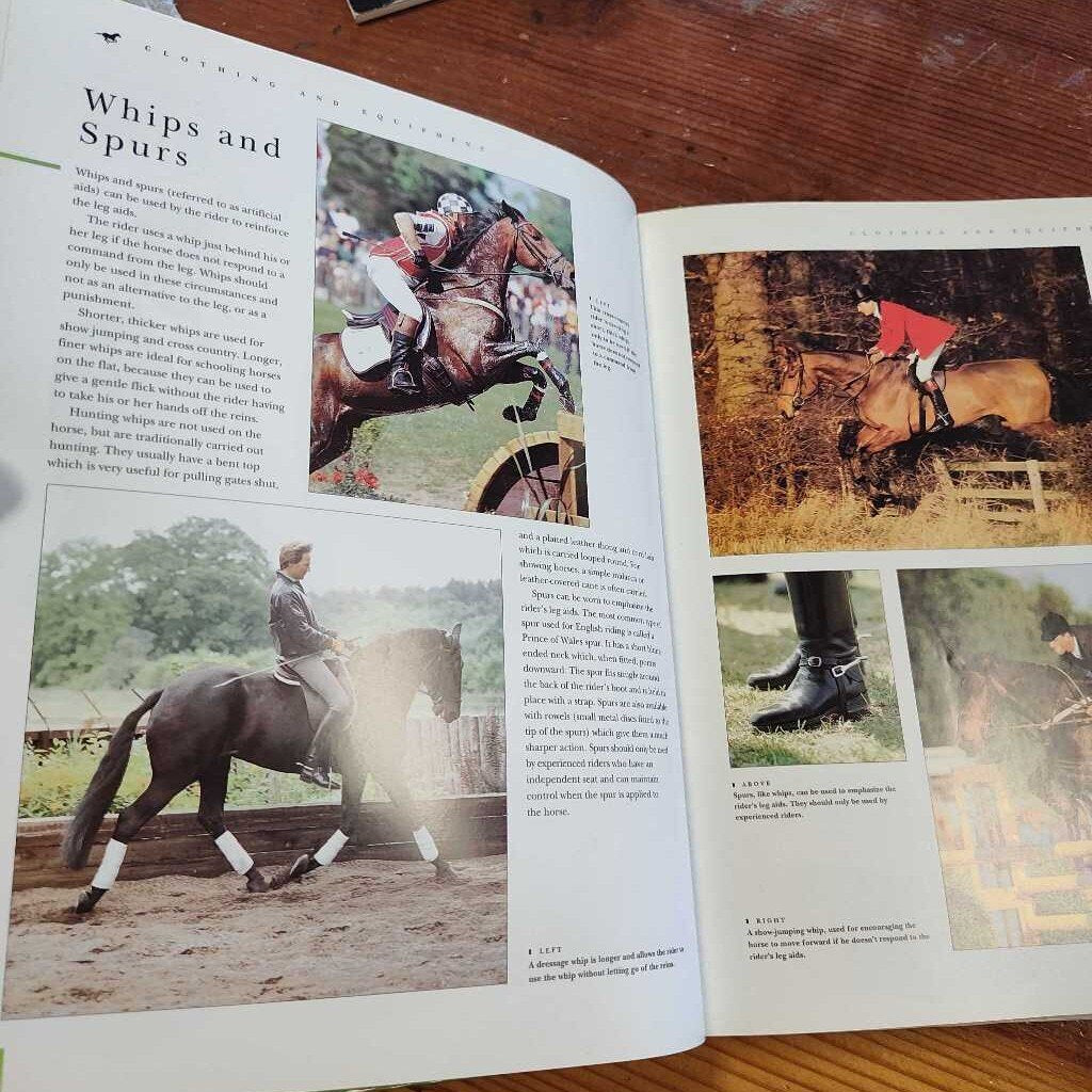 The COmpleate Horse and rider