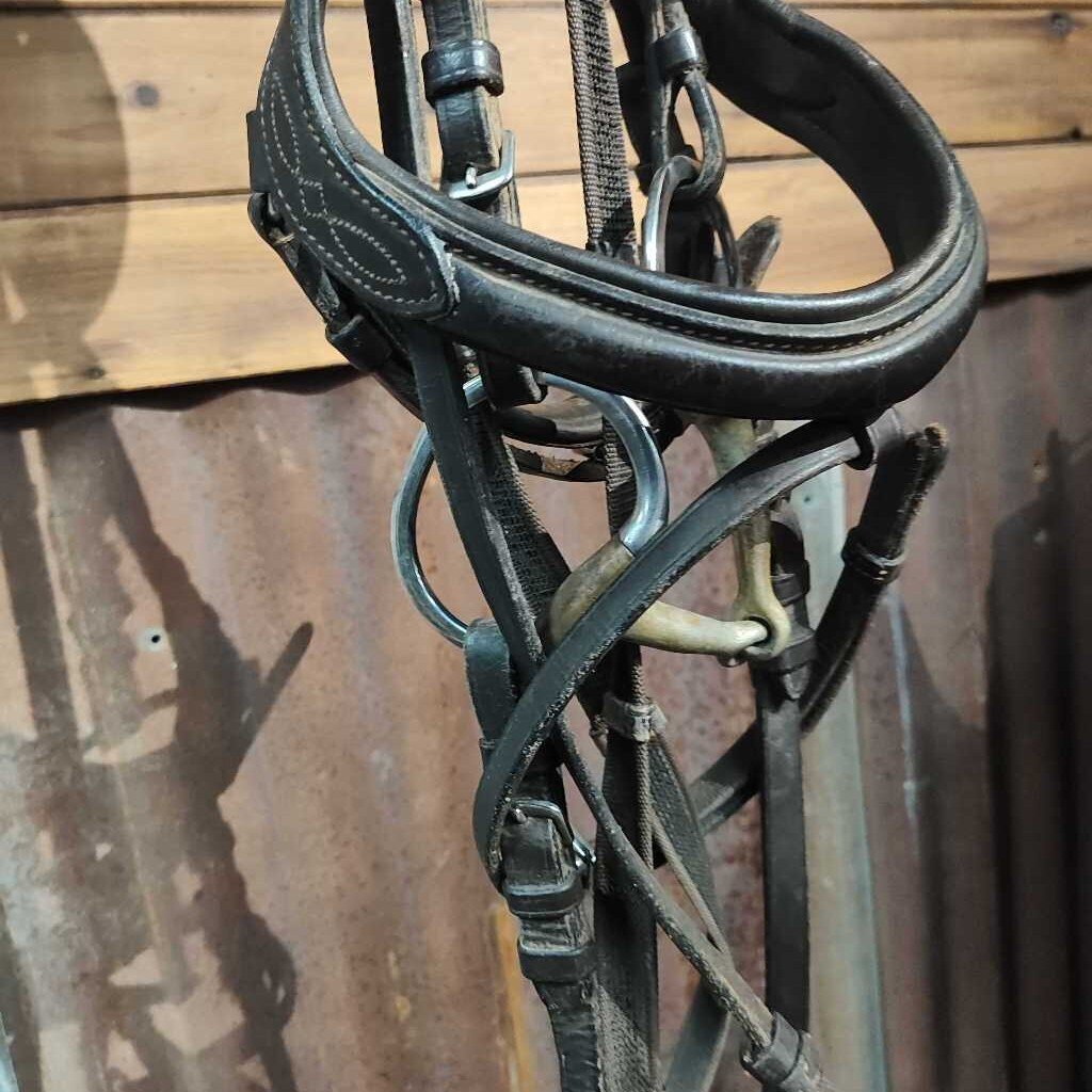 Raised padded with flash- set