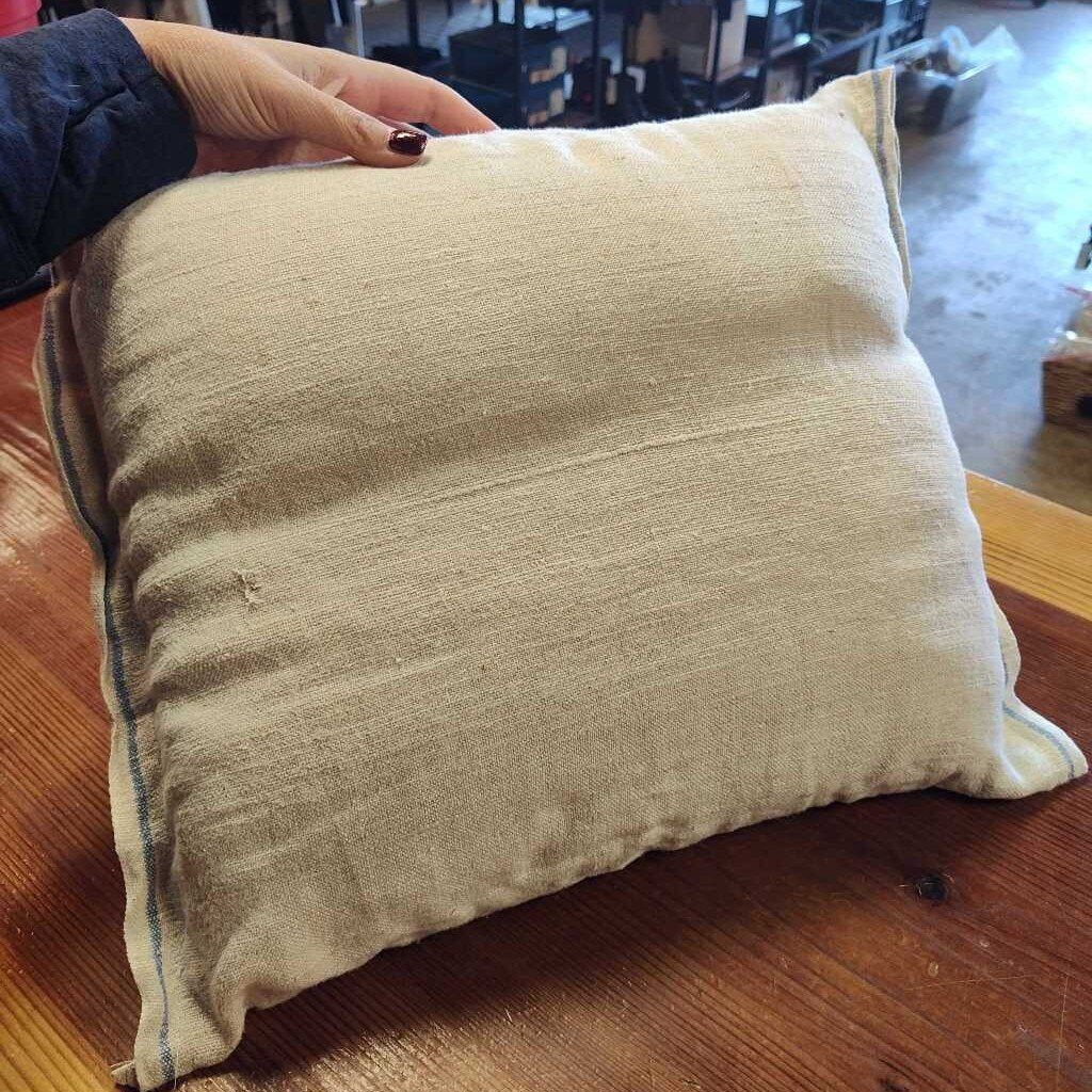 Small pillow- appy horse