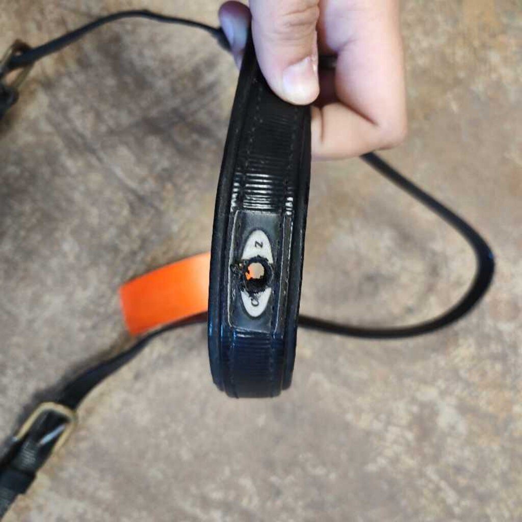 Biothane bridle for halter
