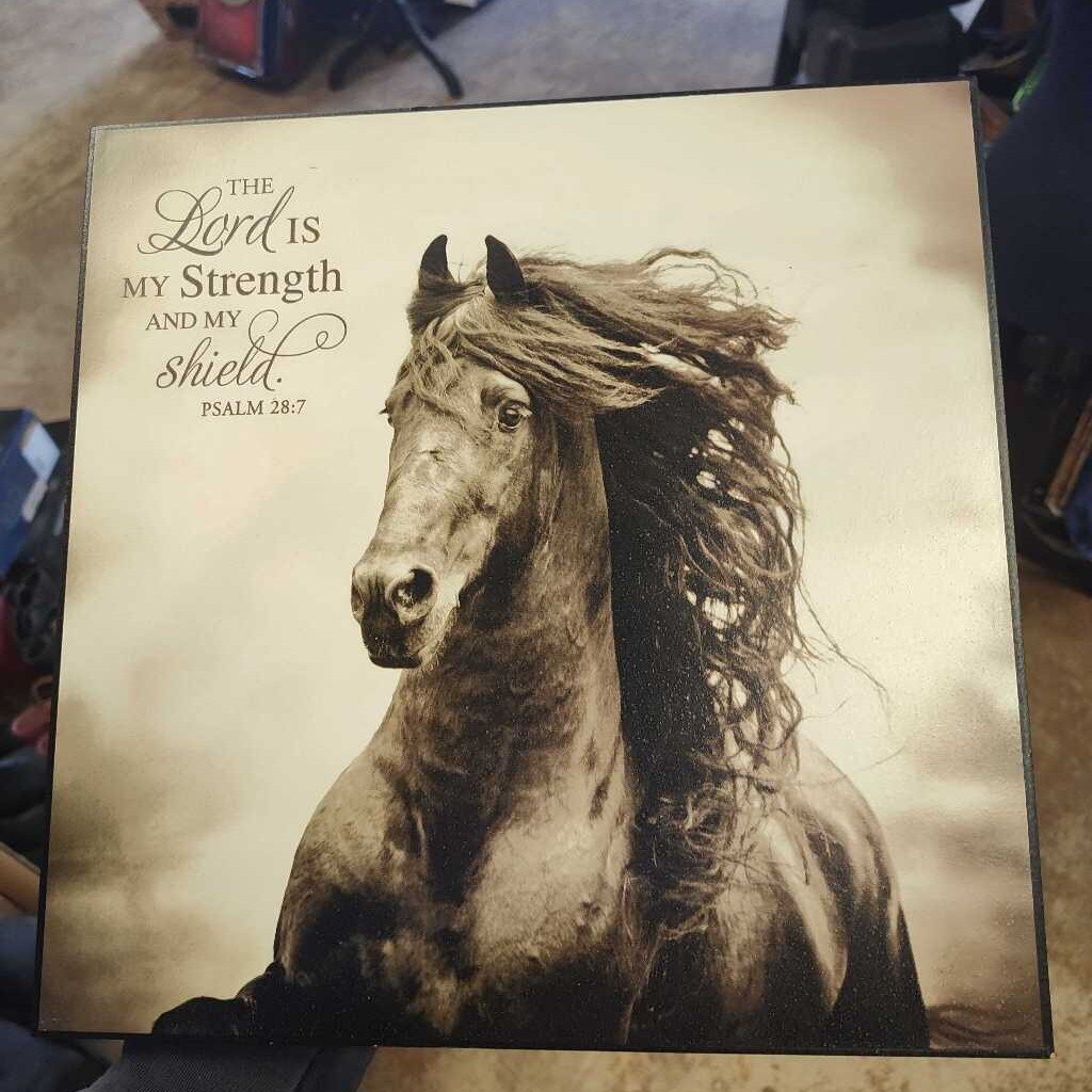 Wooden print" The Lords is my strength"