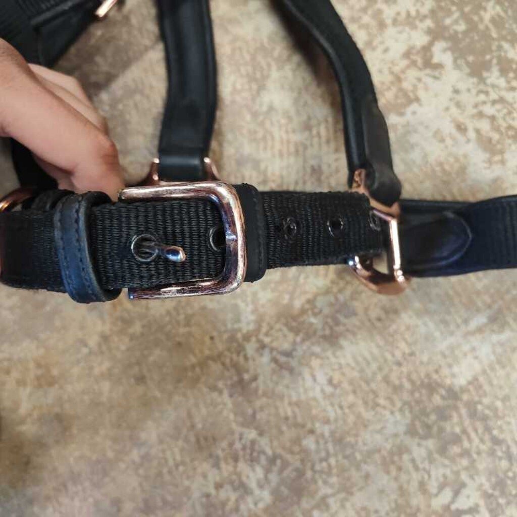 Nylon and leather breakaway