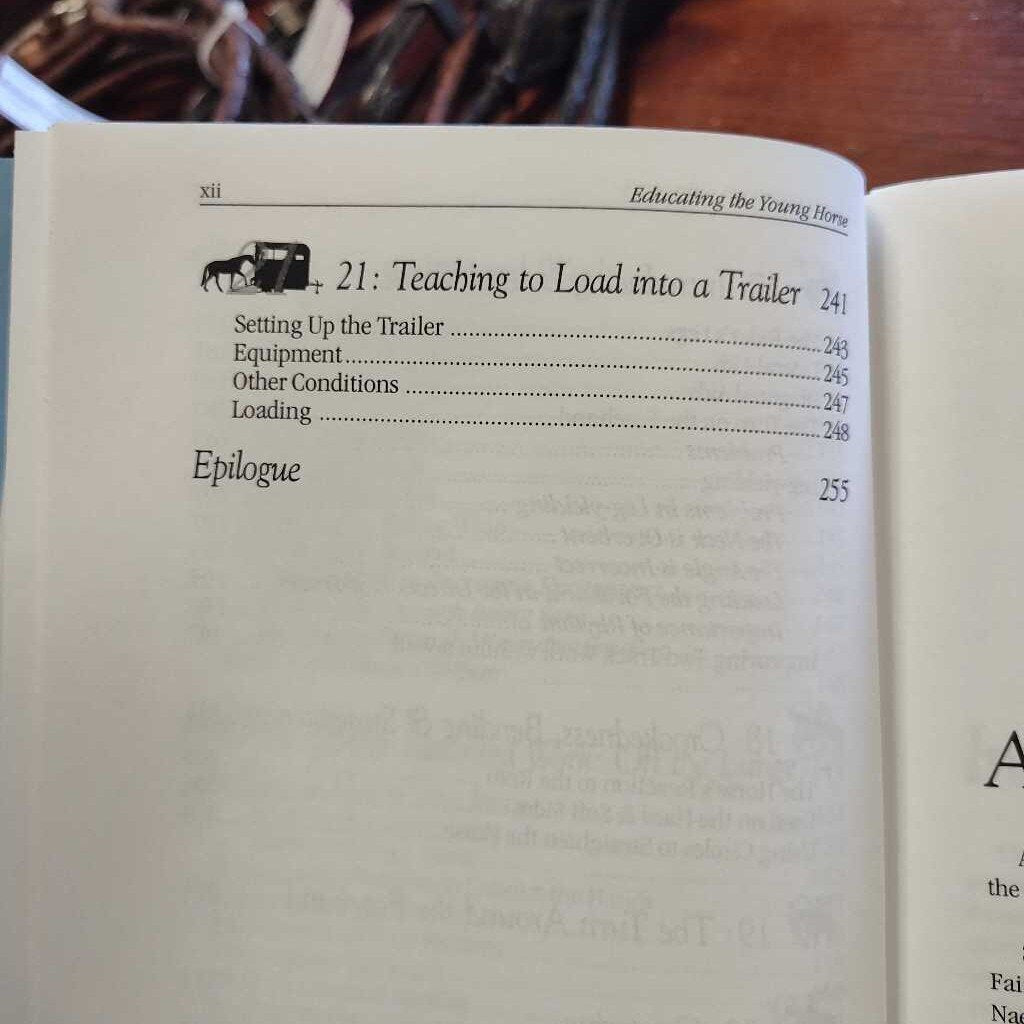 Educating the young horse