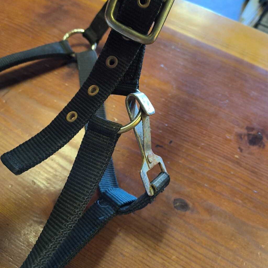 Nylon with bronc noseband