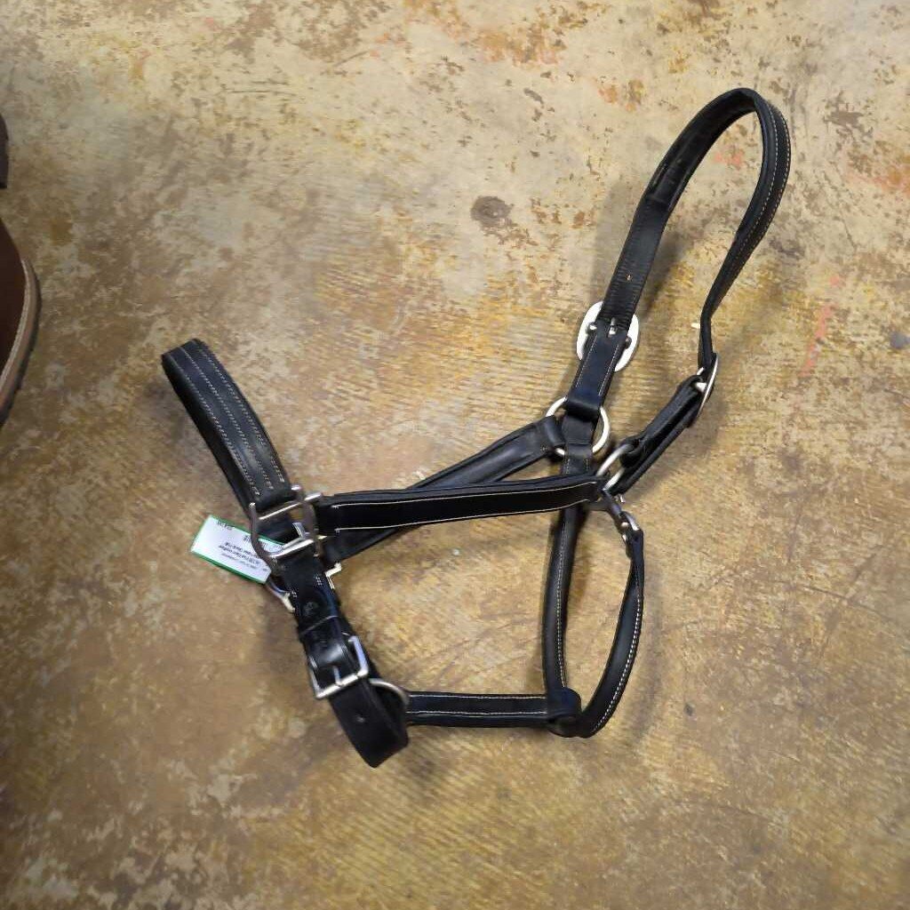 leather padded halter