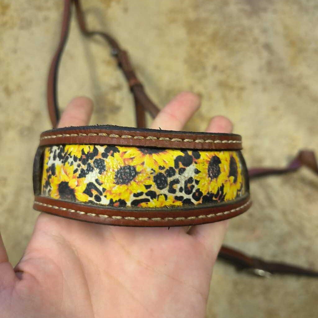 tie down set