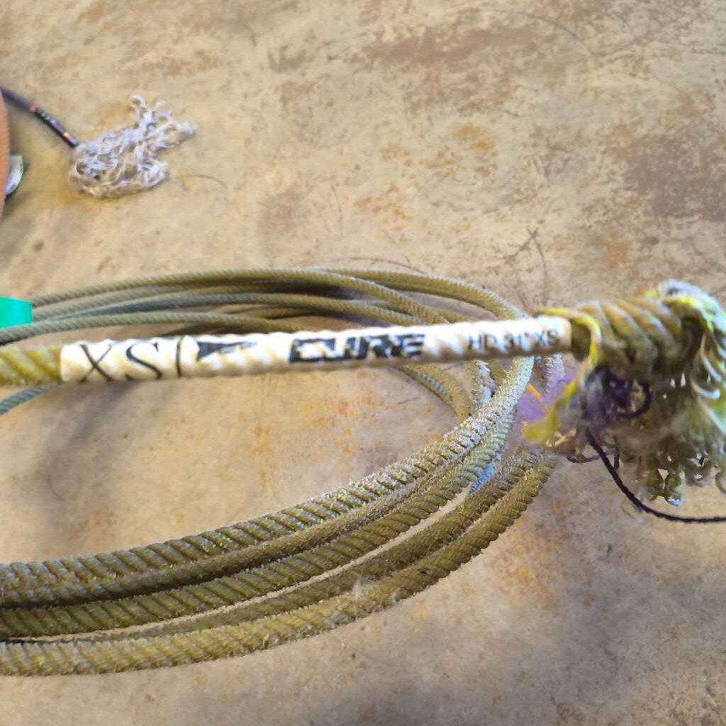 Cure HD 31' XS