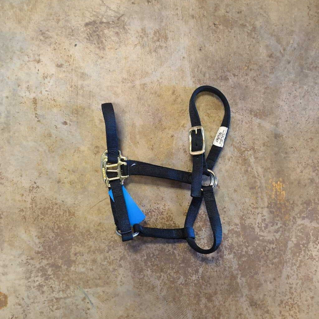 Nylon- Lightly used