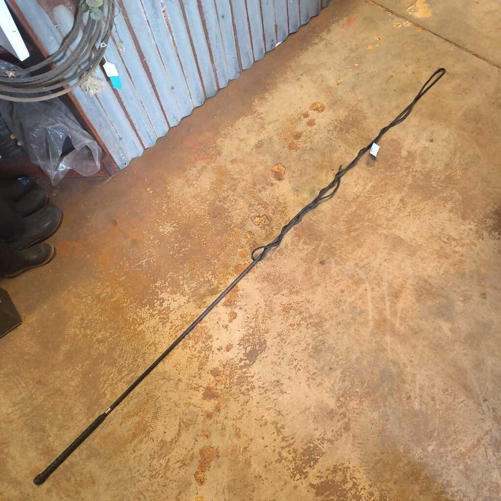 lunge whip