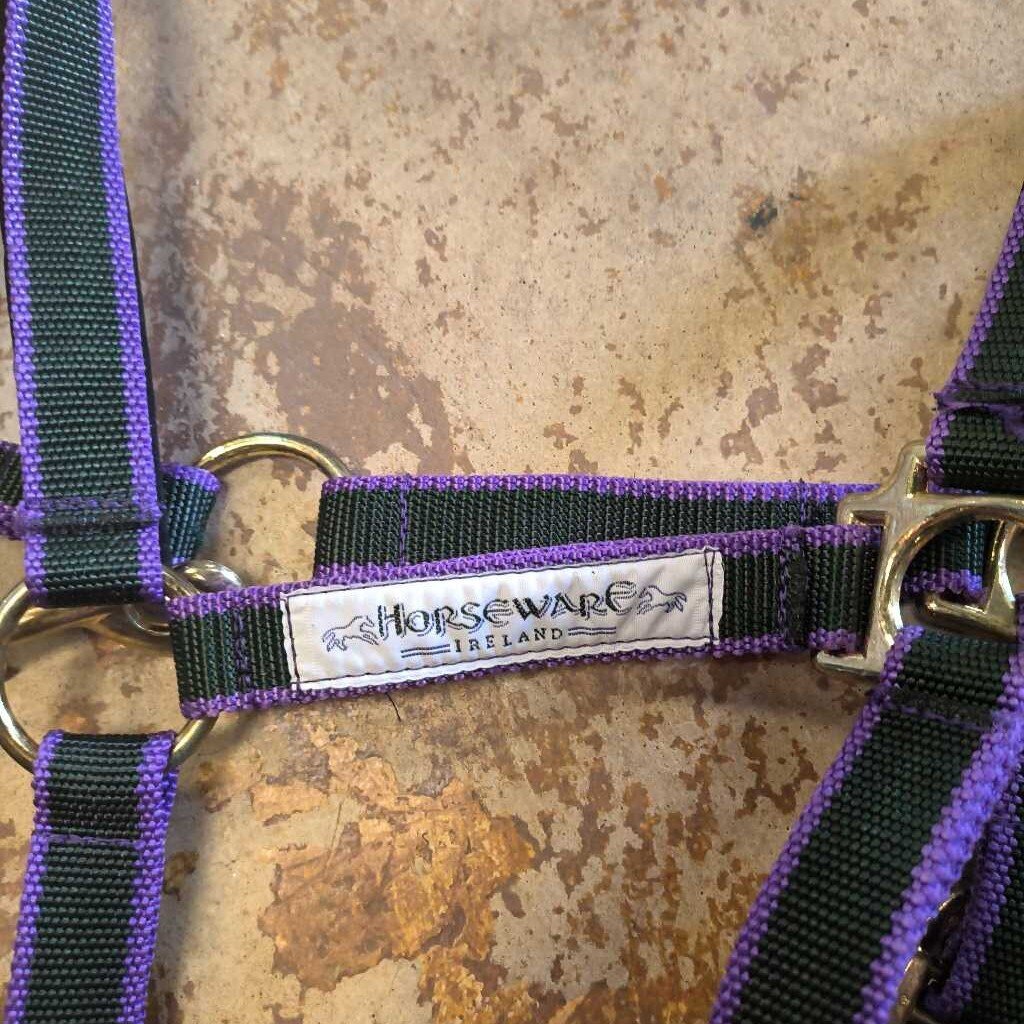 New- pony nylon halter