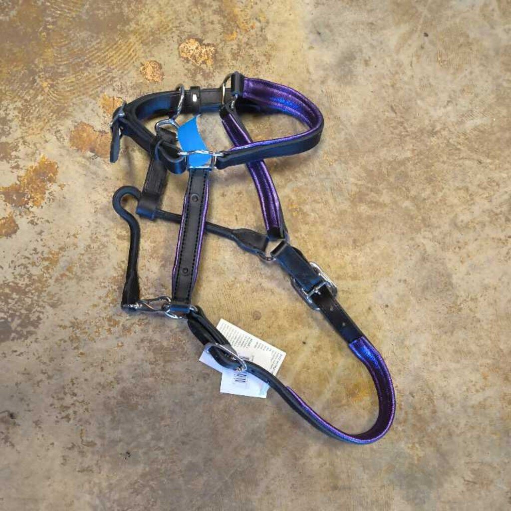 Fancy leather- purple and black halter