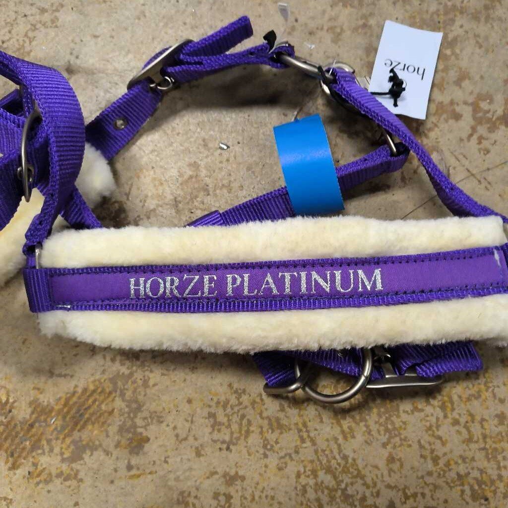 Padded nylon halter with tags