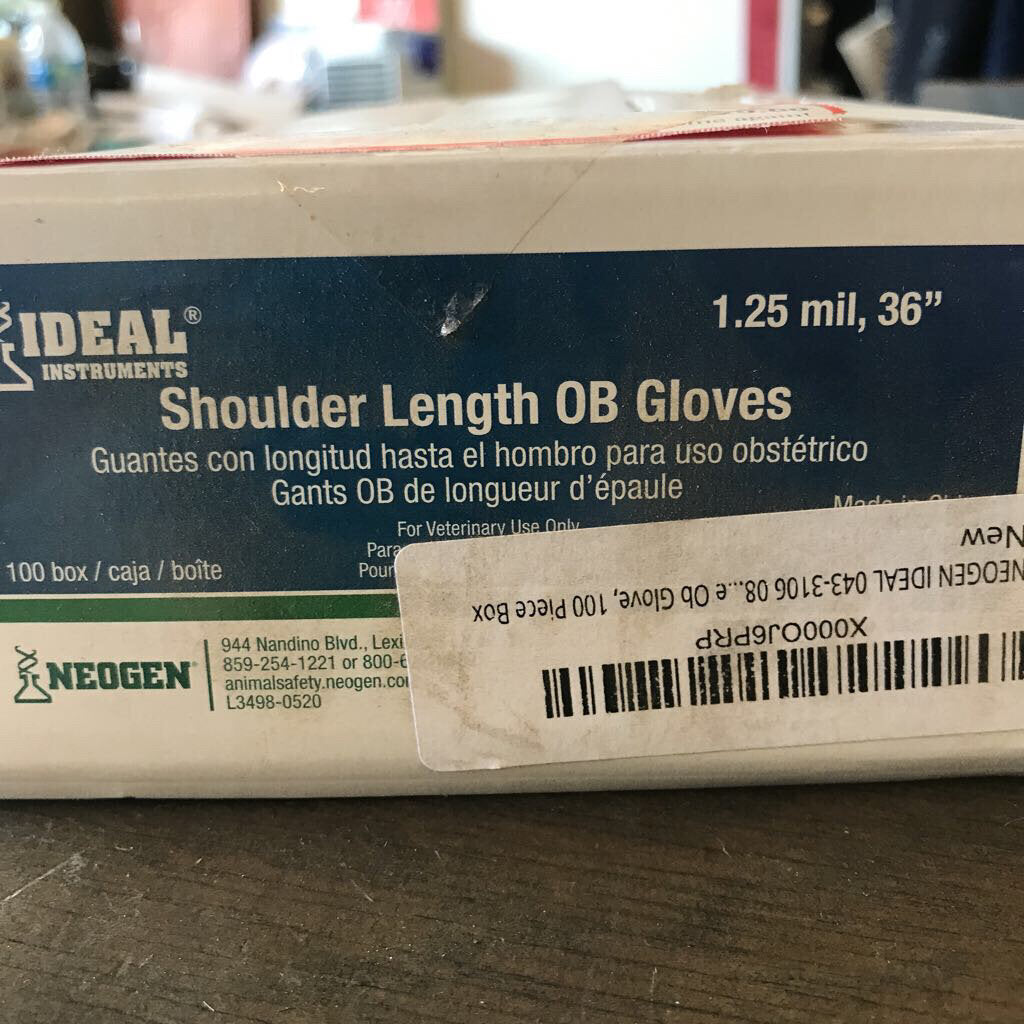 Medical OB Gloves