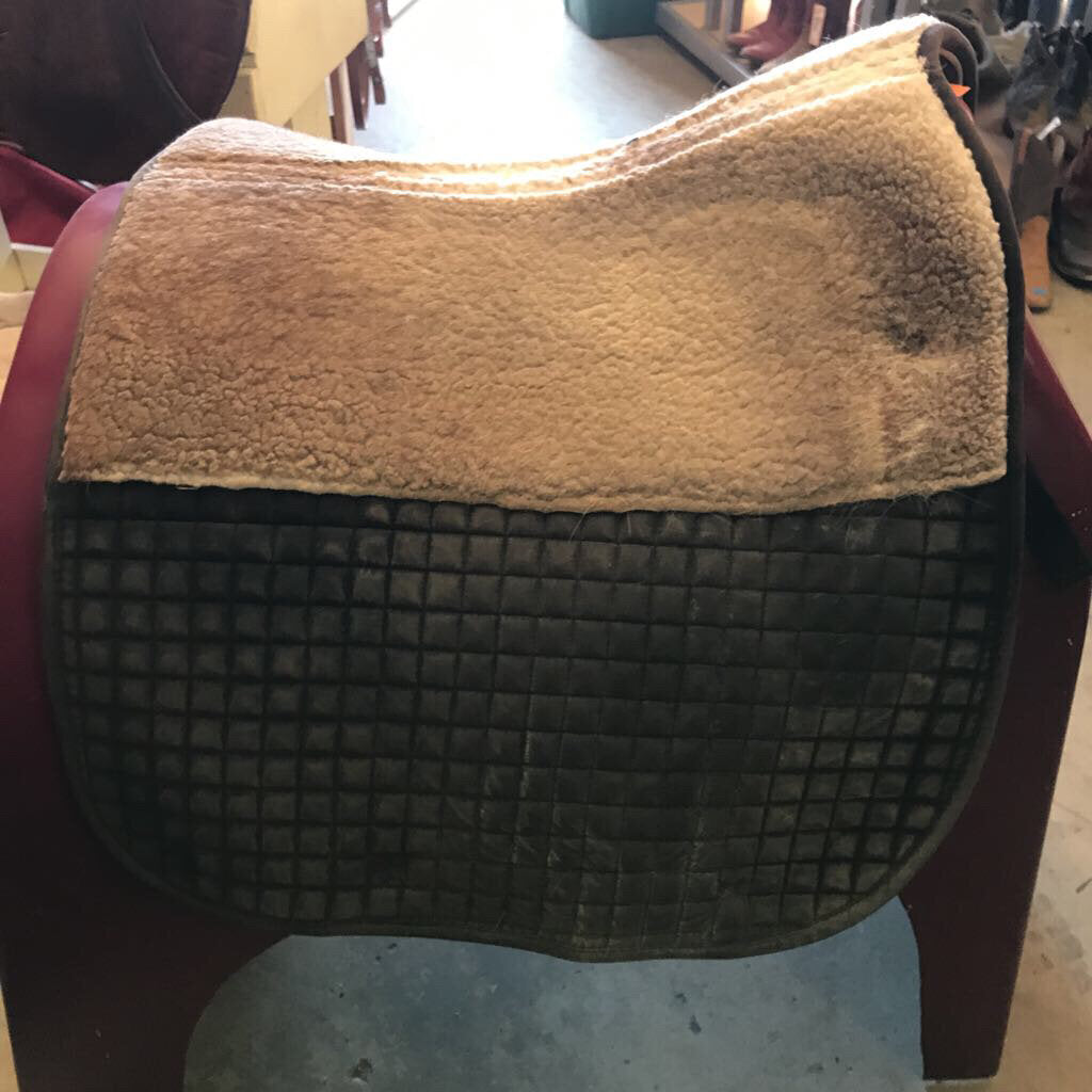 Dressage