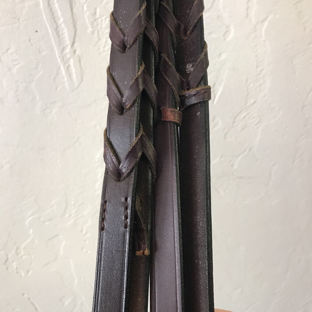 English Reins