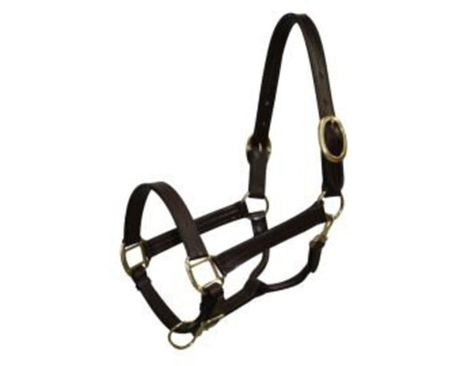 Leather halter