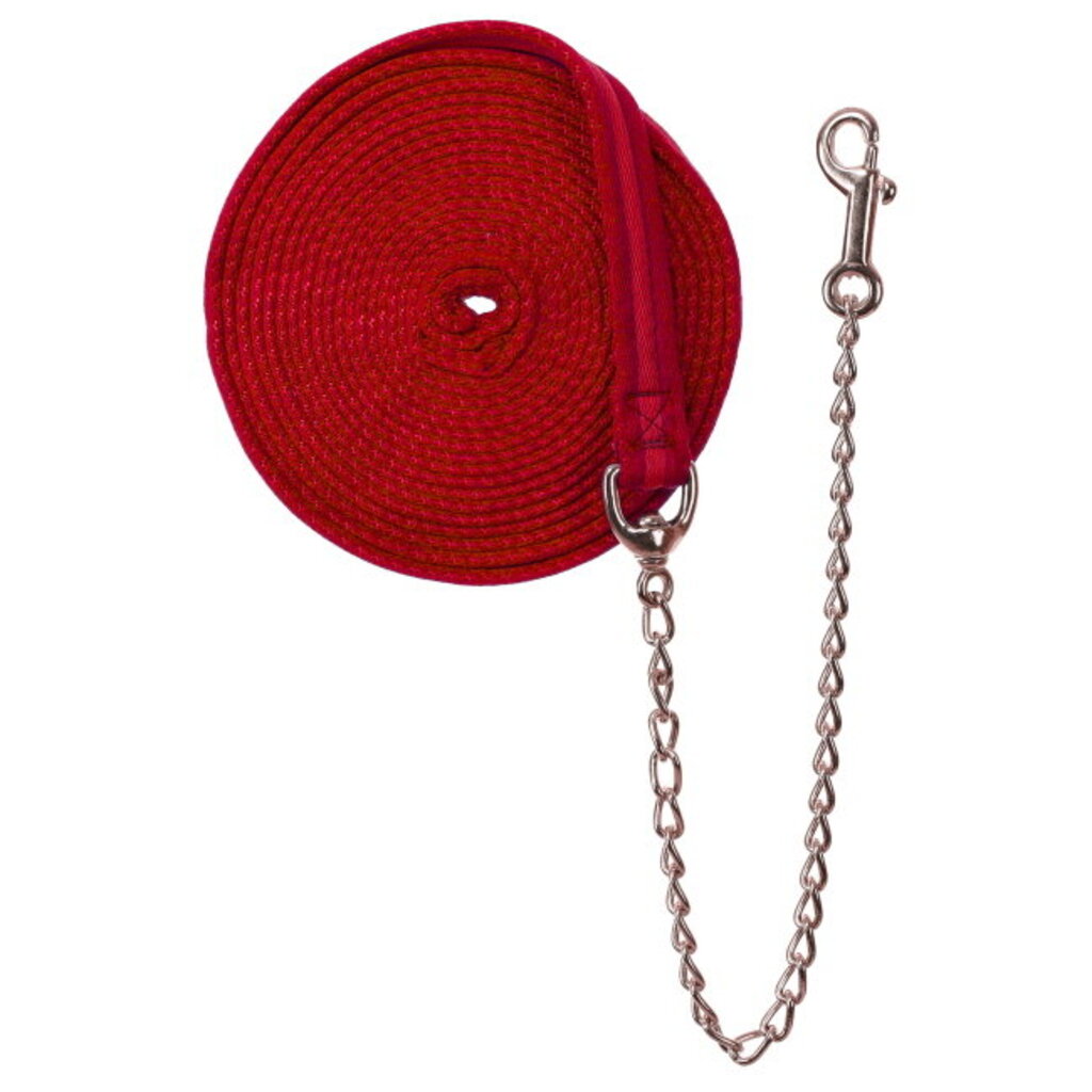 Web Cushion Lunge Line with Chain 25'