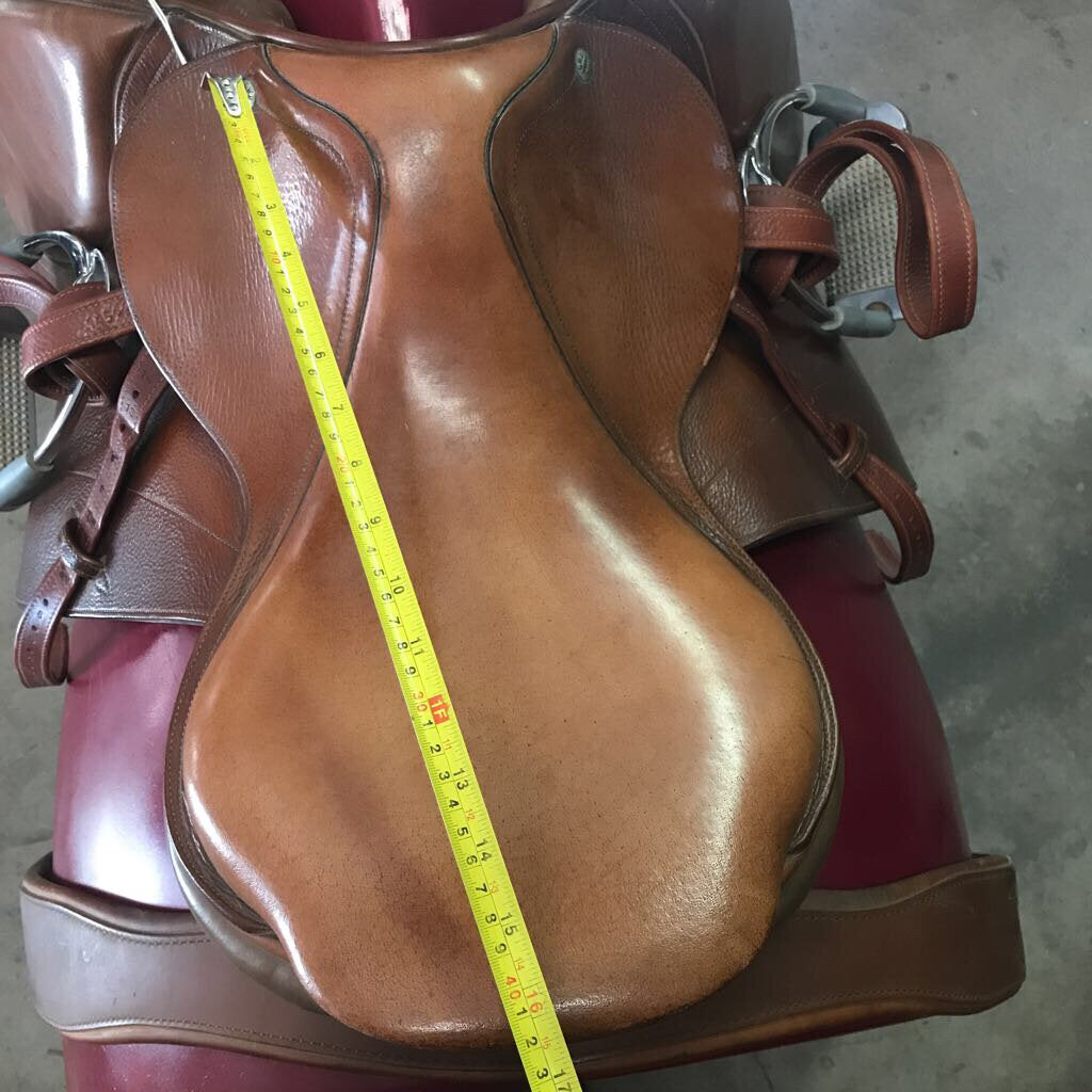 Saddle Jumping CWD SET