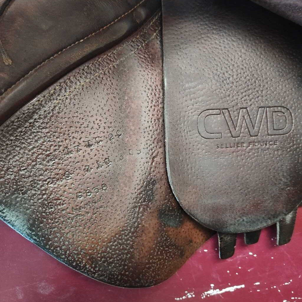 Saddle Jumping CWD SET
