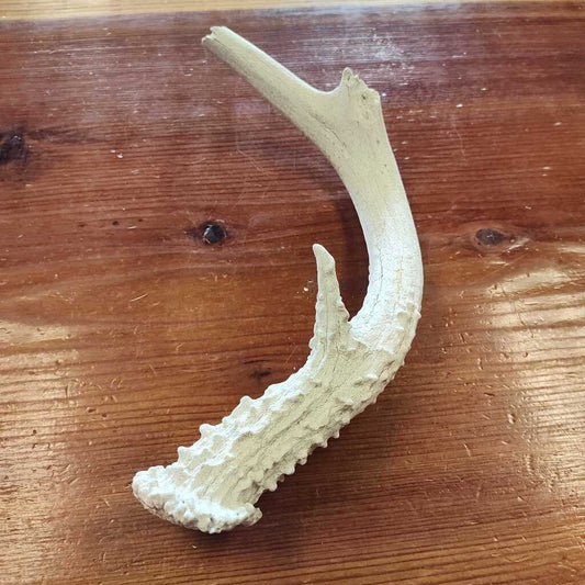 Antler