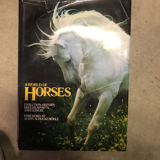 A World of Horses