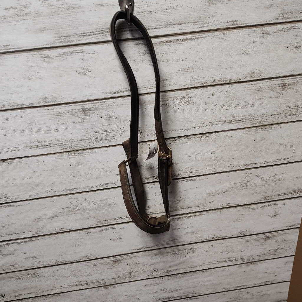 Leather grooming halter