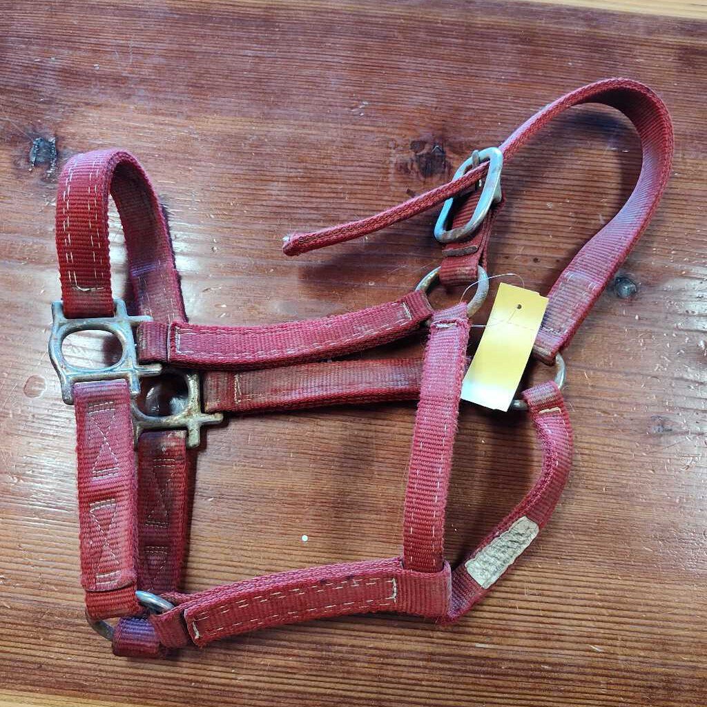 Nylon halter