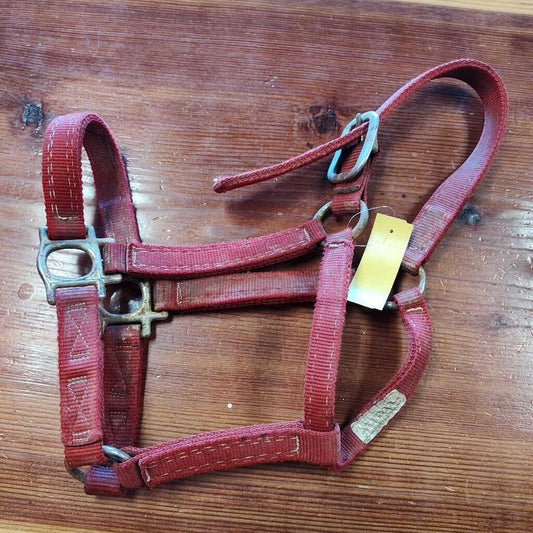 Nylon halter