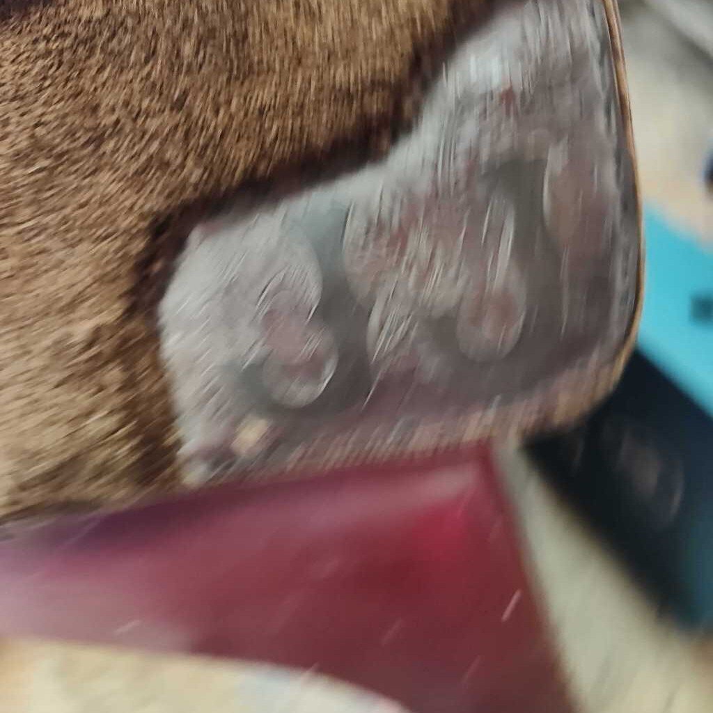 Carpet top felt flannel botton