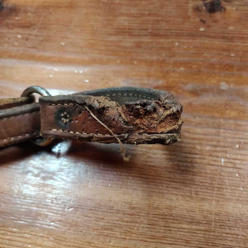 Leather hobbles