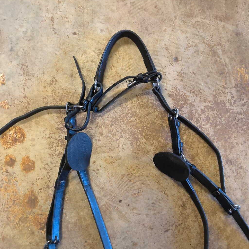 5 point breastcollar