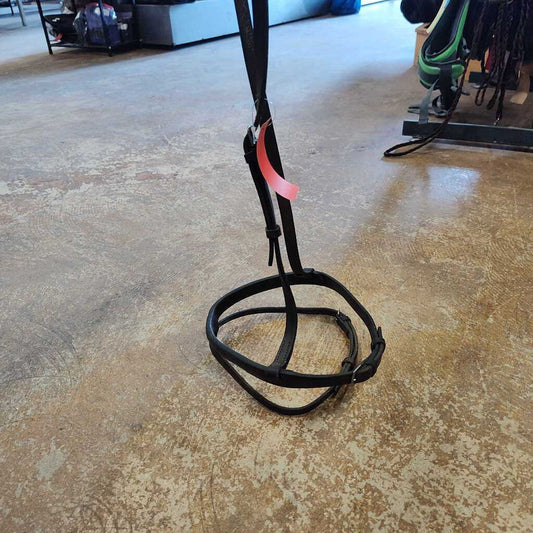 Noseband with flash