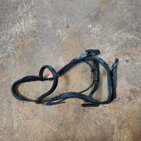 Anatomical Bridle
