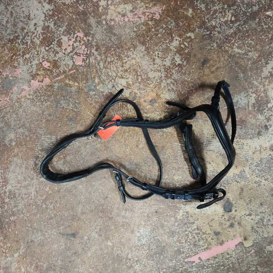 Anatomical Bridle