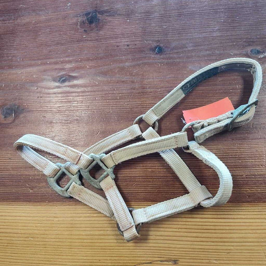 Yearling