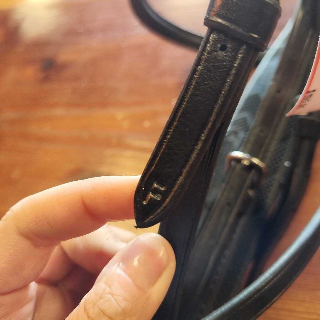 Anatomical Bridle