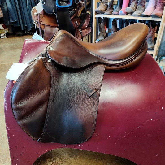 Biarritz- hunter/ jumper