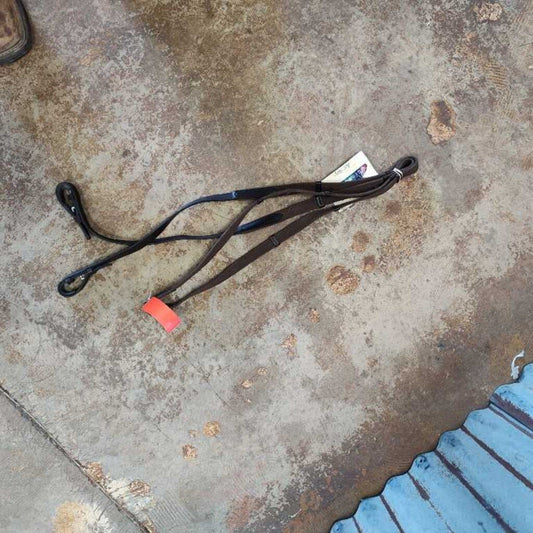 Webbed english reins