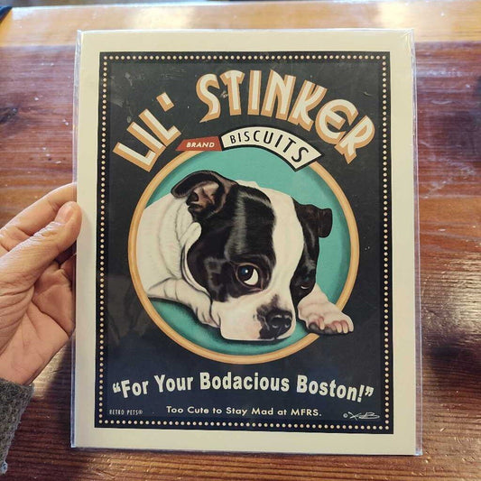 "Lil' Stinker"-Boston Terrier