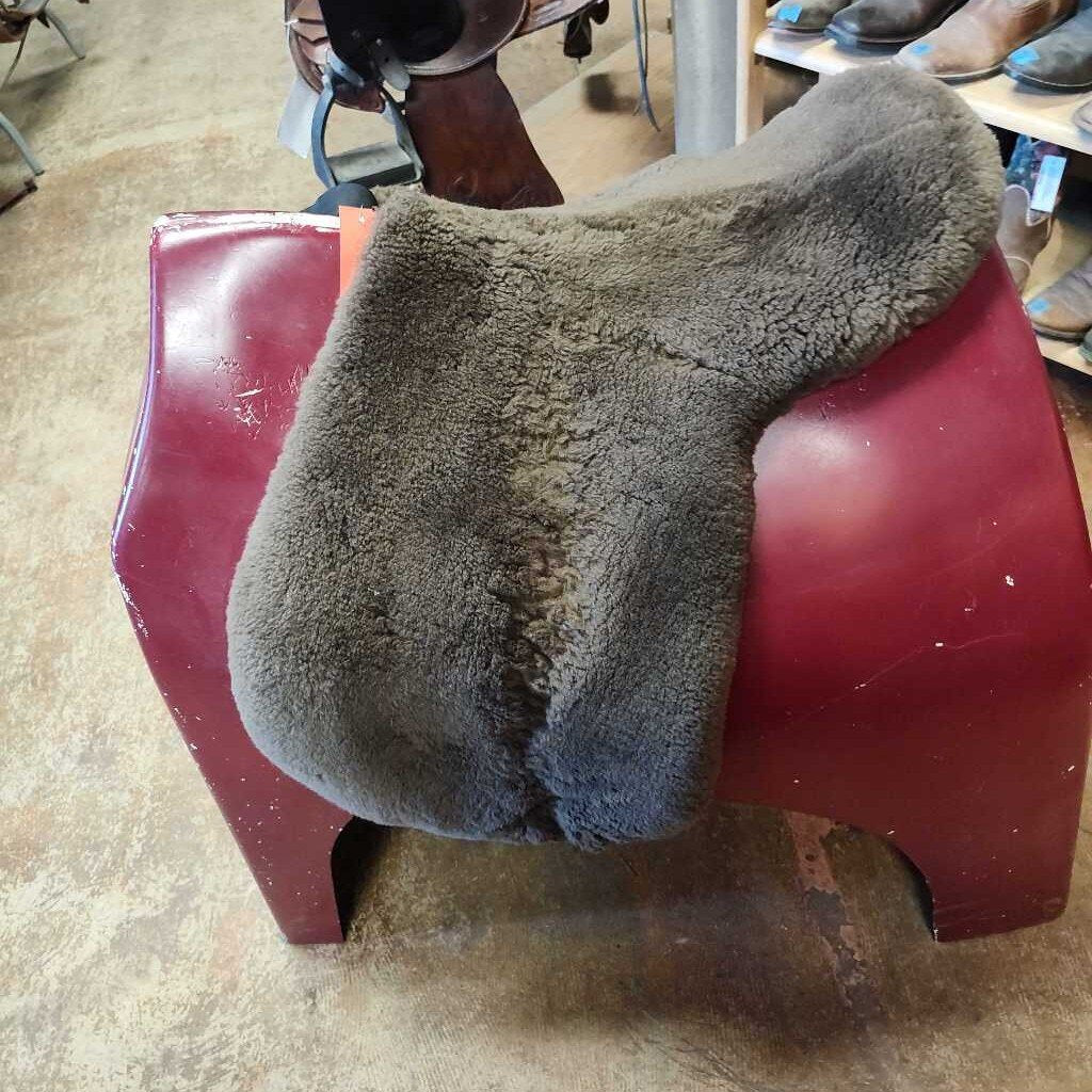 Endurance/ dressage/ aussi