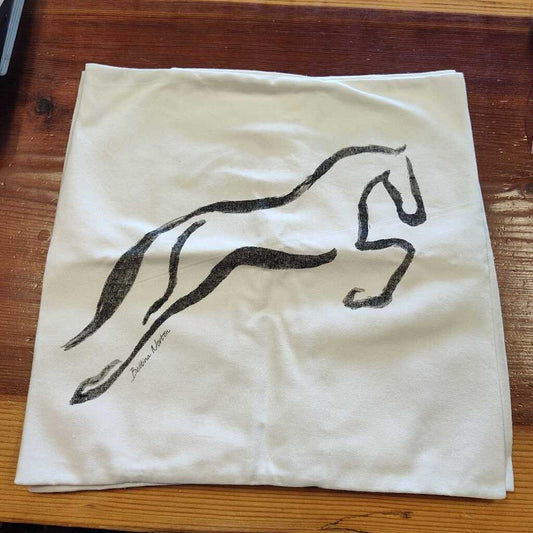 Square pillow covers (set 2)