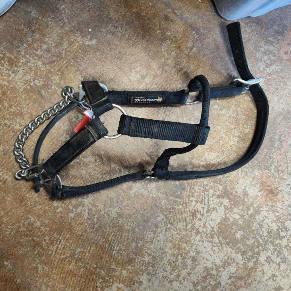 Nylon correction halter
