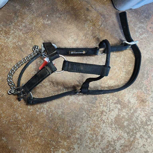 Nylon correction halter