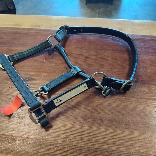 Champion show halter