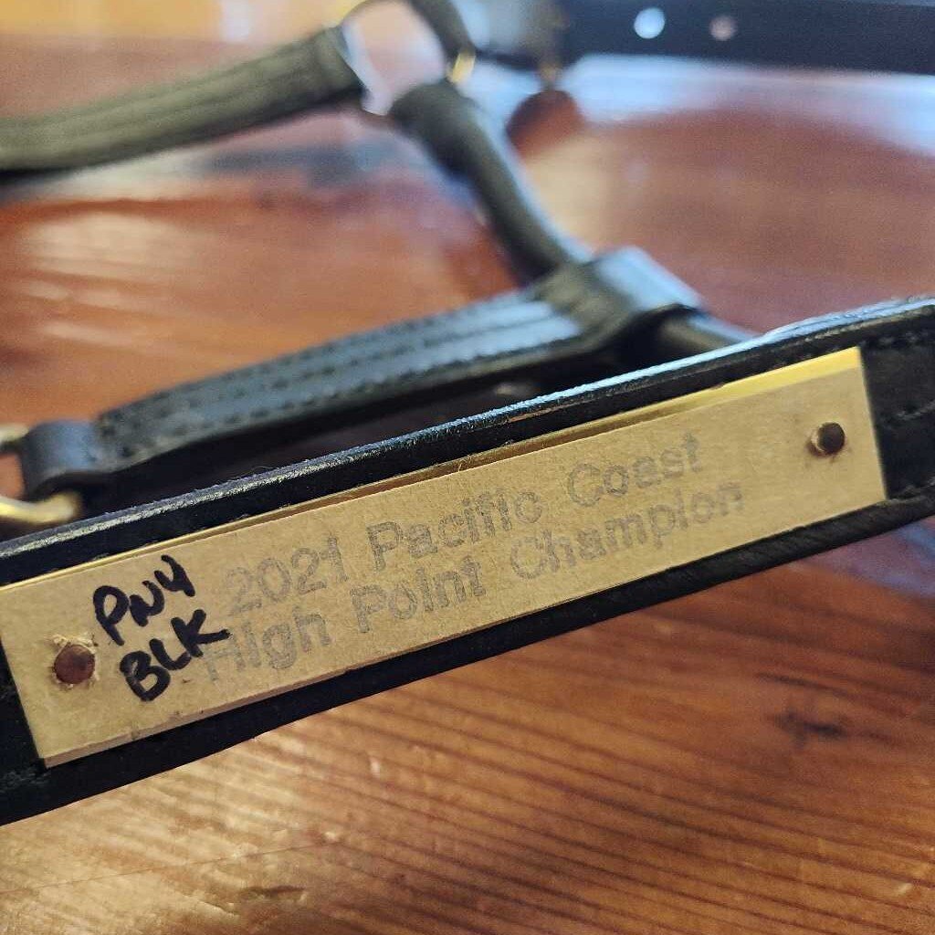 Champion show halter