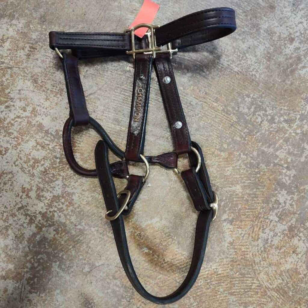 Leather (Champion)