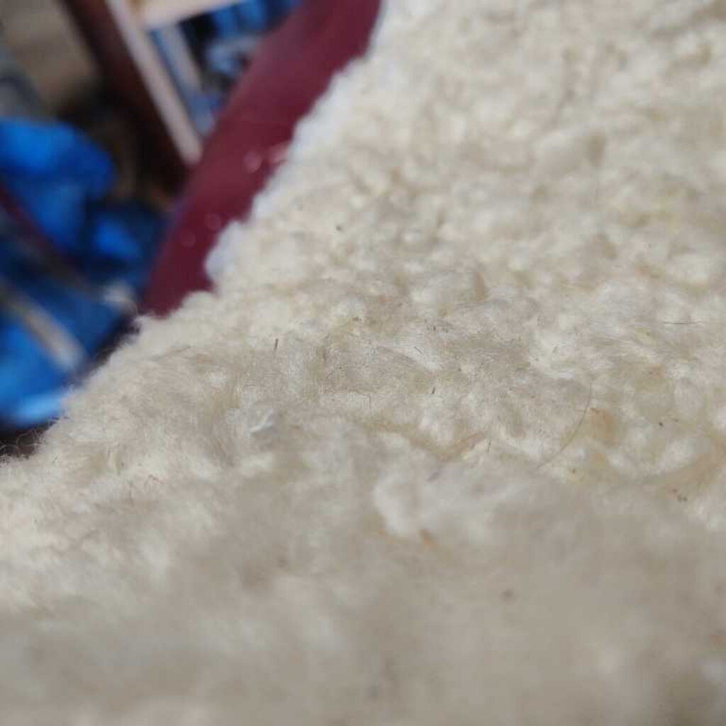 Real wool girth cover- pony